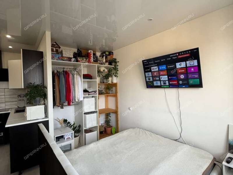 квартира-студия на Академической улице дом 11 деревня Афонино