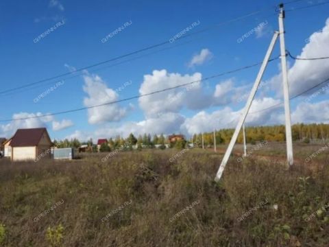 derevnya-tyurino-gorodskoy-okrug-bor фото