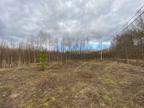 derevnya-gremyachki-bogorodskiy-municipalnyy-okrug фото