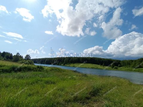 selo-efimevo-bogorodskiy-municipalnyy-okrug фото