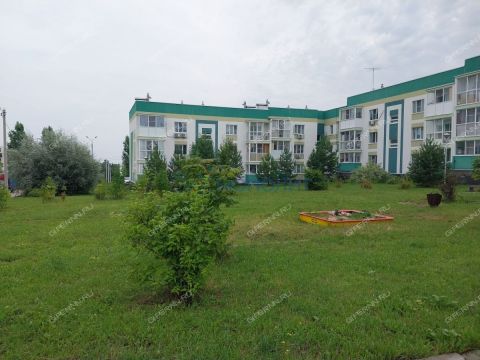 1-komnatnaya-gorod-nizhniy-novgorod-bogorodskiy-municipalnyy-okrug фото