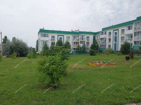 1-komnatnaya-novinskiy-bogorodskiy-municipalnyy-okrug фото