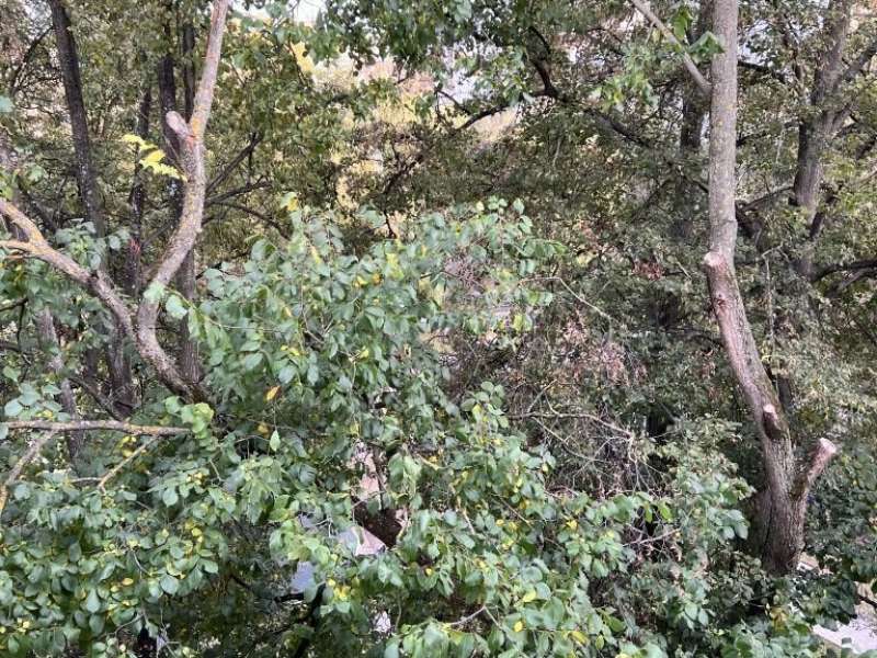 двухкомнатная квартира на Ковалихинской улице дом 28а