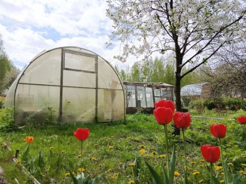dacha-gorod-bor-gorodskoy-okrug-bor фото