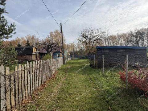 dacha-derevnya-rekshino-gorodskoy-okrug-bor фото