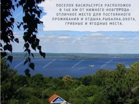 rabochiy-poselok-vasilsursk-vorotynskiy-gorodskoy-okrug фото