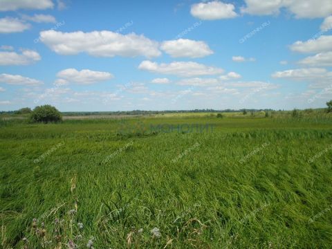 selo-bezvodnoe-kstovskiy-rayon фото