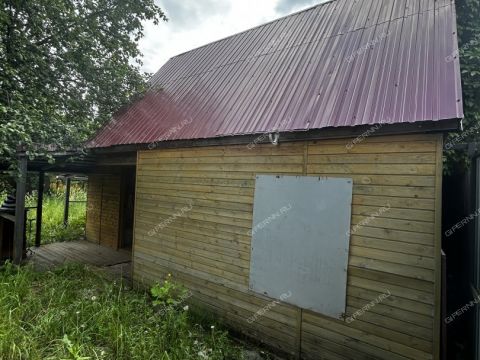 dom-gorod-bor-gorodskoy-okrug-bor фото