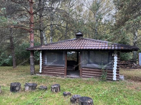 dom-derevnya-alferovo-balahninskiy-municipalnyy-okrug фото