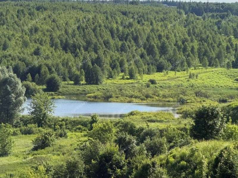 дом на Центральной улице