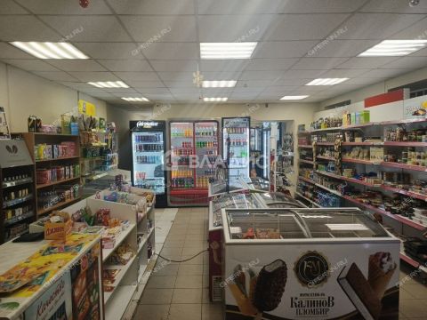 ul-kuybysheva-d-13 фото