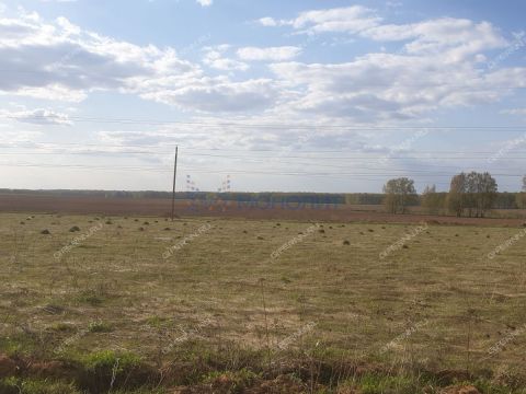 selo-afanasevo-bogorodskiy-municipalnyy-okrug фото