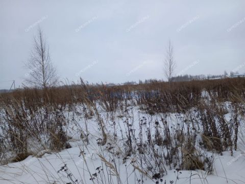 kottedzhnyy-poselok-burcevo-ter-bogorodskiy-municipalnyy-okrug фото