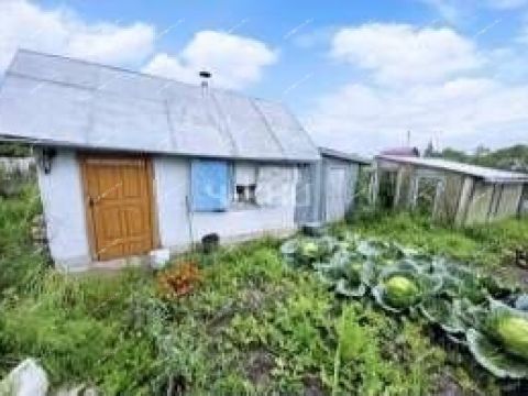 poselok-burevestnik-bogorodskiy-municipalnyy-okrug фото