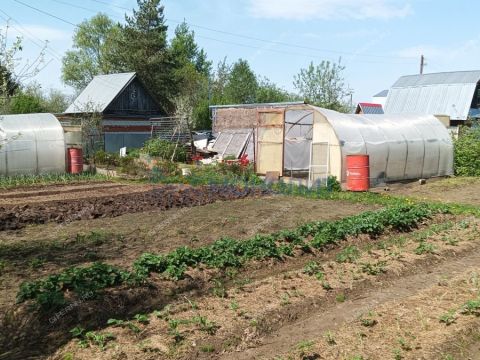 dacha-kristall-derevnya-kostino-ter-snt-gorodskoy-okrug-bor фото