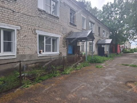 2-komnatnaya-selo-filinskoe-vachskiy-rayon фото