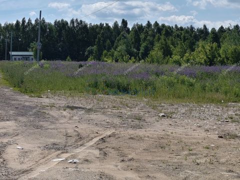 derevnya-shumilovo-bogorodskiy-municipalnyy-okrug фото