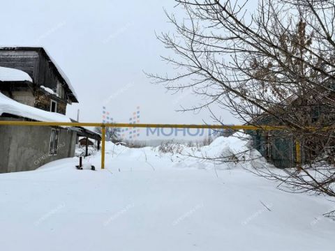 derevnya-lapshley-dalnekonstantinovskiy-rayon фото