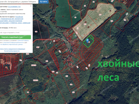 derevnya-pobediha-bogorodskiy-municipalnyy-okrug фото