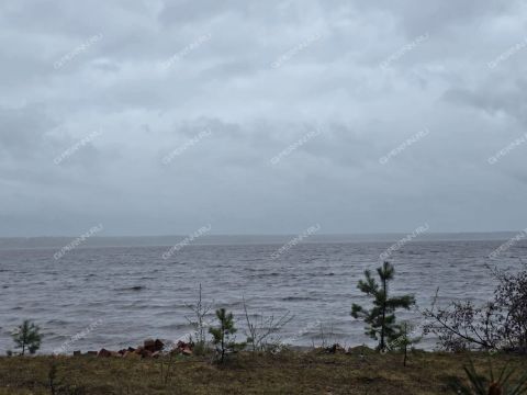 poselok-novaya-shomohta-sokolskiy-gorodskoy-okrug фото
