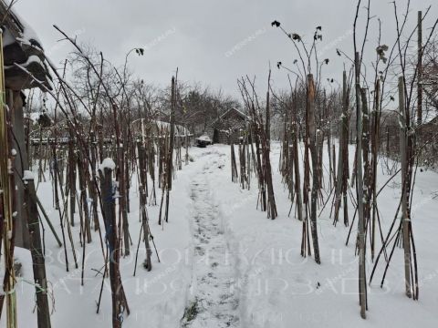 dom-selo-doskino-bogorodskiy-municipalnyy-okrug фото