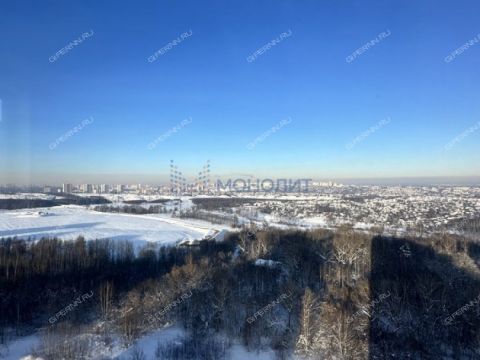 2-komnatnaya-derevnya-ankudinovka-kstovskiy-rayon фото