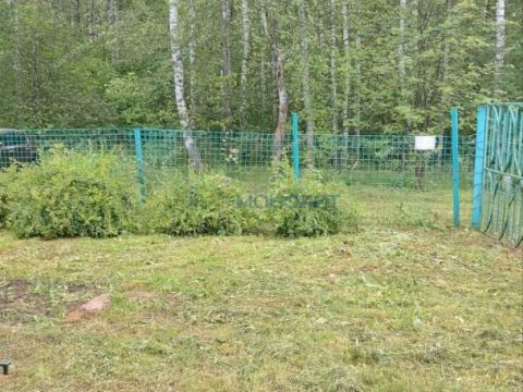 dacha-derevnya-kremenki-dalnekonstantinovskiy-rayon фото