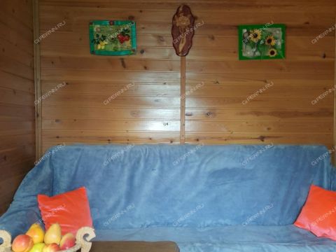 dom-derevnya-inyutino-bogorodskiy-municipalnyy-okrug фото