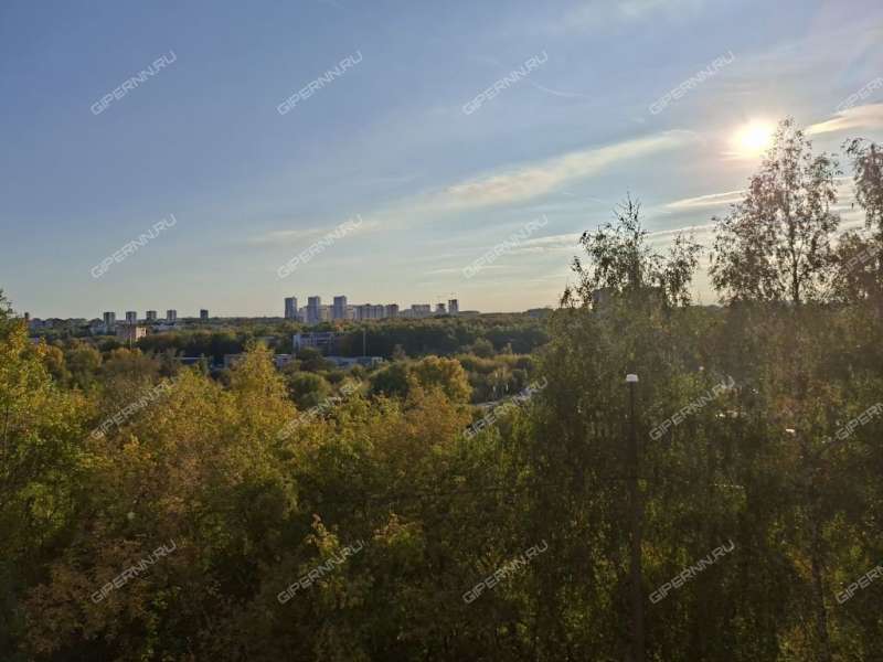трёхкомнатная квартира на улице Германа Лопатина дом 14/1