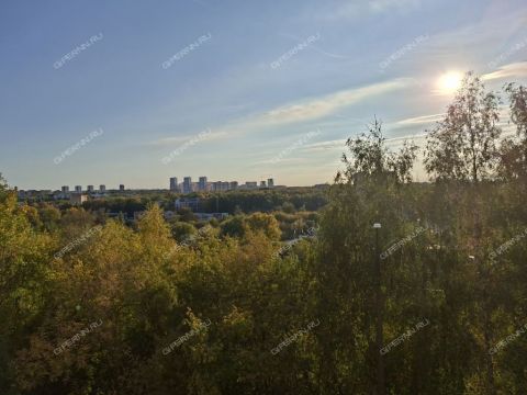 3-komnatnaya-ul-germana-lopatina-d-14-1 фото