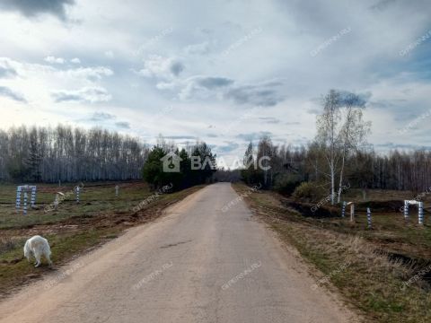 derevnya-inyutino-bogorodskiy-municipalnyy-okrug фото
