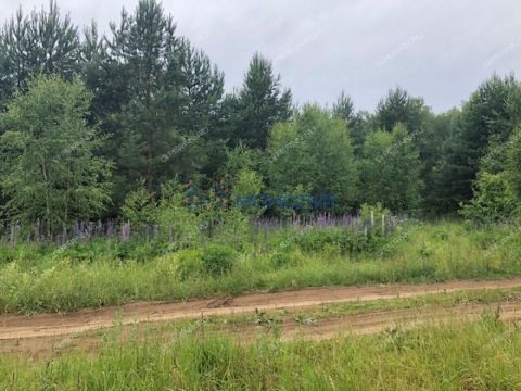 derevnya-kudrino-sokolskiy-gorodskoy-okrug фото