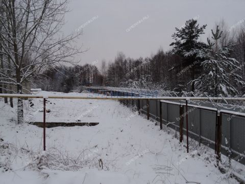 gorod-navashino-navashinskiy-gorodskoy-okrug фото