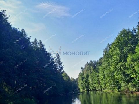 derevnya-lindo-pustyn-gorodskoy-okrug-bor фото