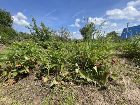 dacha-druzhba-86-snt-kstovskiy-rayon фото