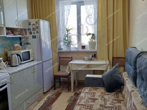 1-komnatnaya-selo-kamenki-bogorodskiy-municipalnyy-okrug фото