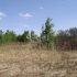 земельный участок 15,1 сотки Сиреневая село Безводное