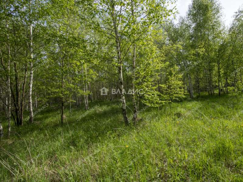 земельный участок 18 соток Овражная улица деревня Майдан