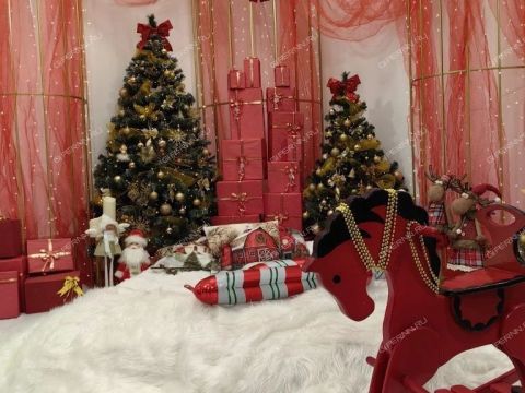 ul-rodionova-d-192-k1 фото