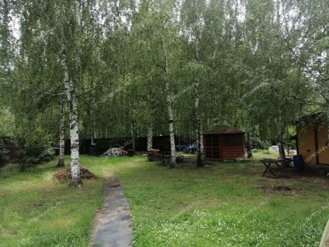 derevnya-lindo-pustyn-gorodskoy-okrug-bor фото