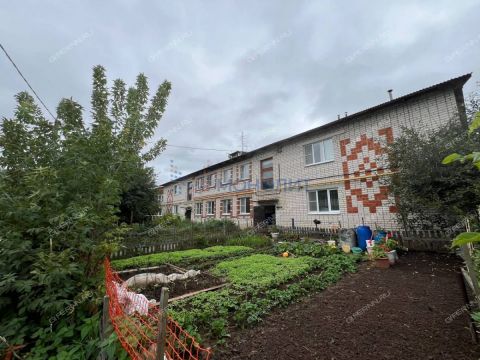 1-komnatnaya-selo-dudenevo-bogorodskiy-municipalnyy-okrug фото