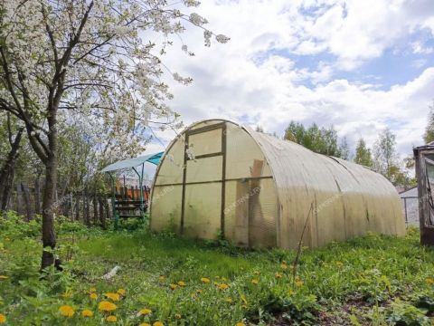 dacha-gorod-bor-gorodskoy-okrug-bor фото