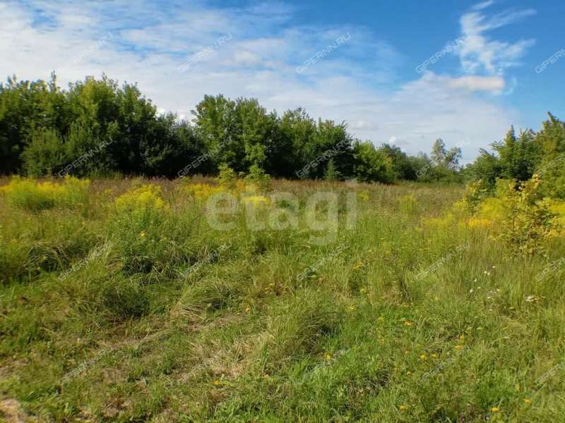 земельный участок 13,1 сотки улица Черкасский Порядок село Афанасьево