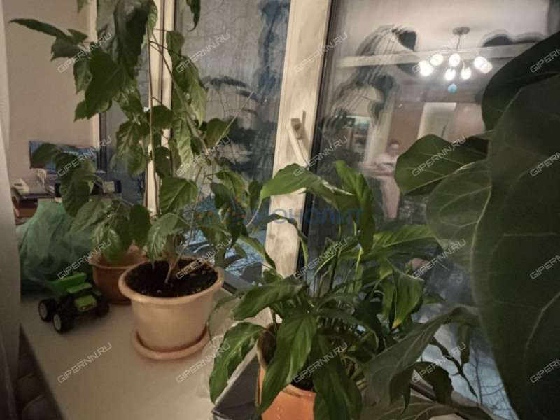 двухкомнатная квартира на Московском шоссе дом 189