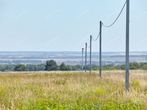 selo-efimevo-bogorodskiy-municipalnyy-okrug фото