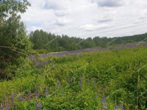derevnya-inyutino-bogorodskiy-municipalnyy-okrug фото