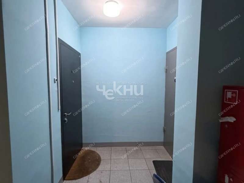двухкомнатная квартира на улице Германа Лопатина дом 12 к1