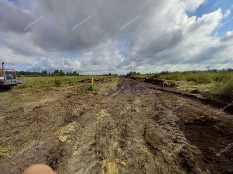 derevnya-prudy-bogorodskiy-municipalnyy-okrug фото