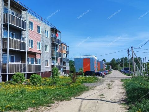 1-komnatnaya-derevnya-berezovka-bogorodskiy-municipalnyy-okrug фото