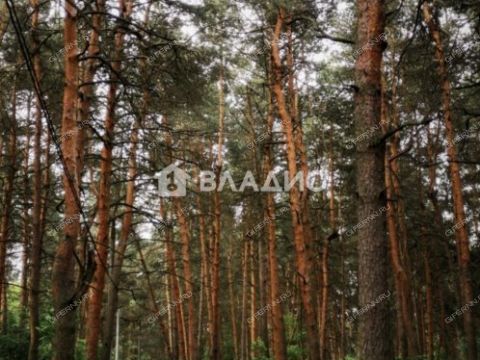 kvartira-studiya-ul-krasnyh-zor-23d фото